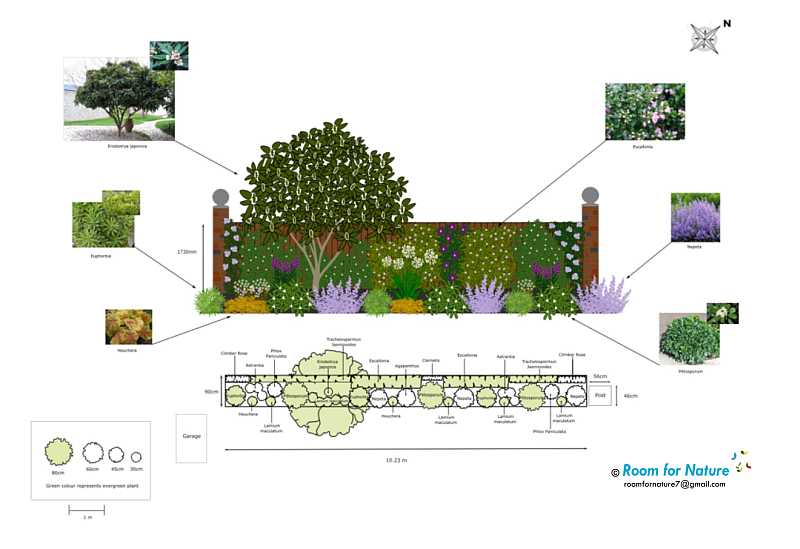 a3-elevation-planting-plan