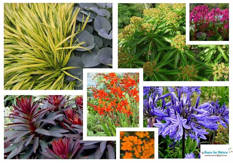 mood-board-planting-design